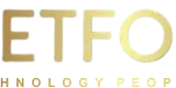 Netfolks Logo
