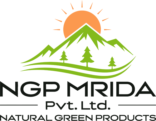 NGP Mrida Logo